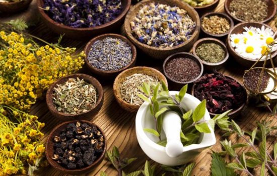 Herbal-Medicine-source-meexperience